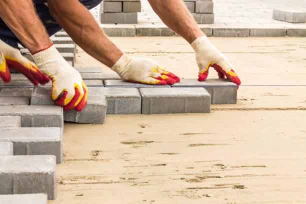 Best Driveway Paving Contractor  in Elkton, KY