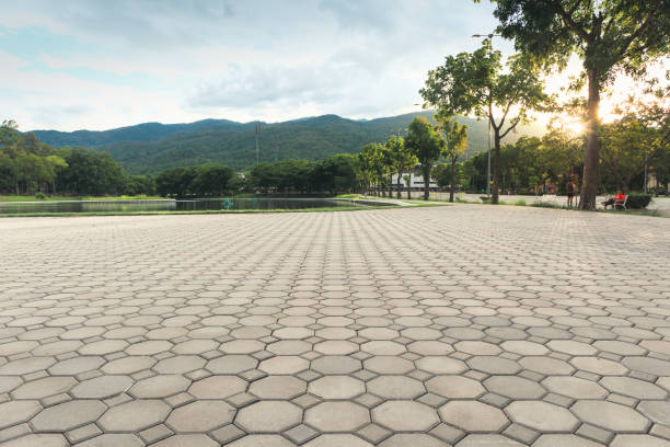 Best Professional Driveway Pavers  in Elkton, KY
