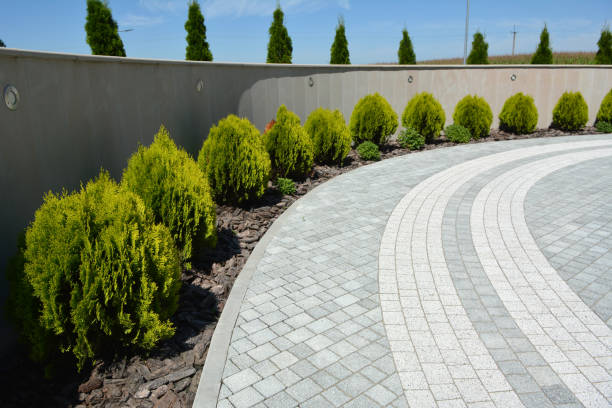 Best Best Driveway Pavers  in Elkton, KY